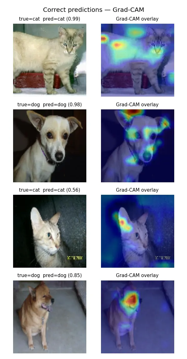 Grad-CAM heatmaps showing what a CNN looks at when classifying cats vs dogs correctly
